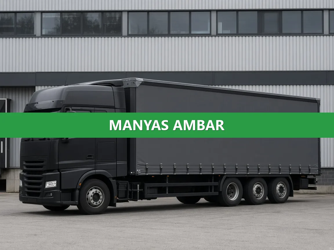 Manyas Ambar